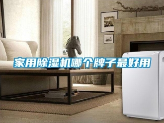 常見問題家用除濕機哪個牌子最好用