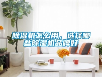 企業新聞除濕機怎么用，選擇哪些除濕機品牌好