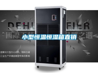 知識百科小型恒溫恒濕箱直銷