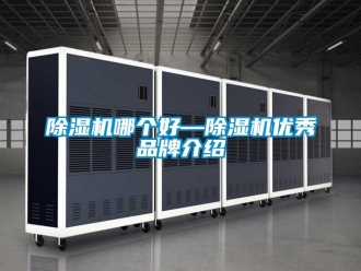企業新聞除濕機哪個好—除濕機優秀品牌介紹