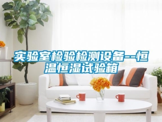 知識(shí)百科實(shí)驗(yàn)室檢驗(yàn)檢測(cè)設(shè)備--恒溫恒濕試驗(yàn)箱