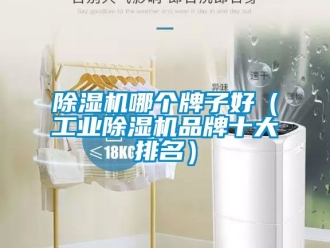 常見問題除濕機(jī)哪個(gè)牌子好（工業(yè)除濕機(jī)品牌十大排名）