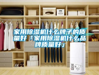 企業(yè)新聞家用除濕機(jī)什么牌子的質(zhì)量好「家用除濕機(jī)什么品牌質(zhì)量好」