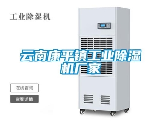 企業(yè)新聞云南康平鎮(zhèn)工業(yè)除濕機廠家