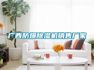 企業(yè)新聞廣西防爆除濕機銷售廠家