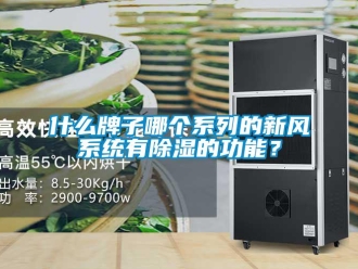 行業(yè)新聞什么牌子哪個系列的新風系統(tǒng)有除濕的功能？