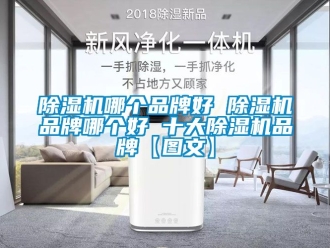 企業新聞除濕機哪個品牌好 除濕機品牌哪個好 十大除濕機品牌【圖文】