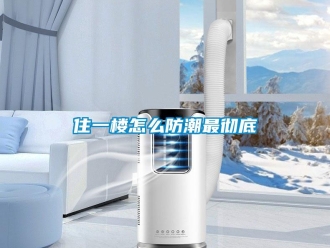常見(jiàn)問(wèn)題住一樓怎么防潮最徹底