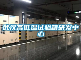 常見問題武漢高低溫試驗箱研發(fā)中心