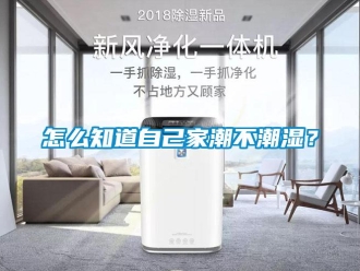 常見問題怎么知道自己家潮不潮濕？