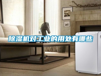 常見問題除濕機(jī)對工業(yè)的用處有哪些