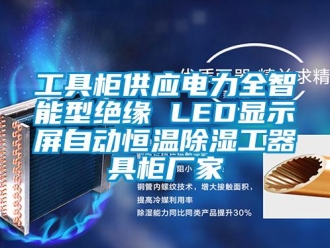知識百科工具柜供應電力全智能型絕緣 LED顯示屏自動恒溫除濕工器具柜廠家