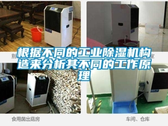常見問題根據不同的工業除濕機構造來分析其不同的工作原理