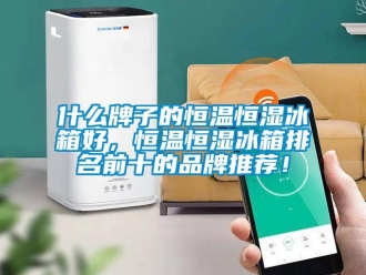 知識百科什么牌子的恒溫恒濕冰箱好，恒溫恒濕冰箱排名前十的品牌推薦！