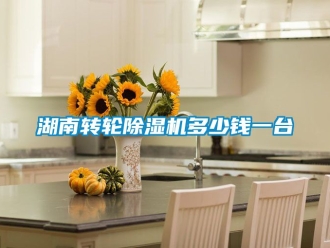 常見問題湖南轉(zhuǎn)輪除濕機(jī)多少錢一臺(tái)