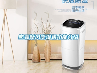企業(yè)新聞防霾新風(fēng)除濕機功能介紹