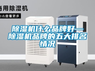 企業新聞除濕機什么品牌好—除濕機品牌的五大排名情況