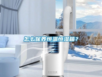 知識百科怎么保養恒溫恒濕箱？