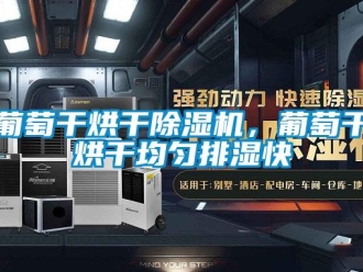 行業(yè)新聞葡萄干烘干除濕機(jī)，葡萄干烘干均勻排濕快