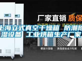 常見問題上海立式真空干燥箱 防潮除濕設備 工業烘箱生產廠家