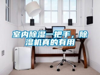 知識百科室內除濕一把手，除濕機真的有用