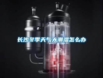 常見問題長沙冬季天氣太潮濕怎么辦