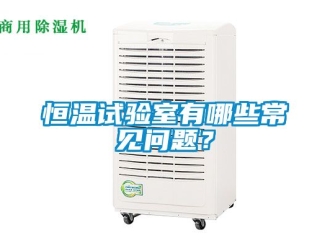知識(shí)百科恒溫試驗(yàn)室有哪些常見問題？