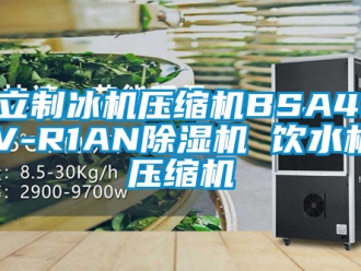 行業(yè)新聞海立制冰機(jī)壓縮機(jī)BSA418CV-R1AN除濕機(jī) 飲水機(jī) 壓縮機(jī)