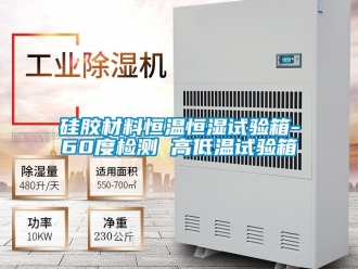 知識百科硅膠材料恒溫恒濕試驗(yàn)箱-60度檢測 高低溫試驗(yàn)箱