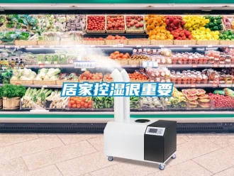 行業(yè)新聞居家控濕很重要