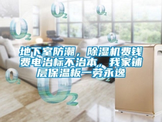 行業新聞地下室防潮，除濕機費錢費電治標不治本，我家鋪層保溫板一勞永逸