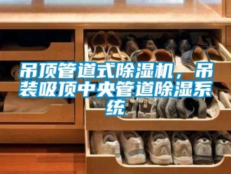 企業(yè)新聞吊頂管道式除濕機(jī)，吊裝吸頂中央管道除濕系統(tǒng)