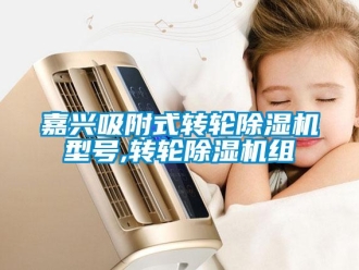 常見問題嘉興吸附式轉輪除濕機型號,轉輪除濕機組