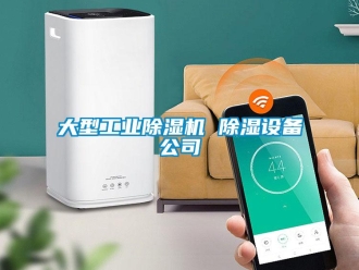 常見問題大型工業(yè)除濕機(jī) 除濕設(shè)備公司