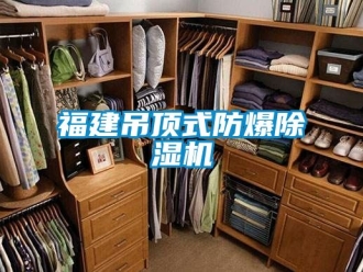 企業(yè)新聞福建吊頂式防爆除濕機
