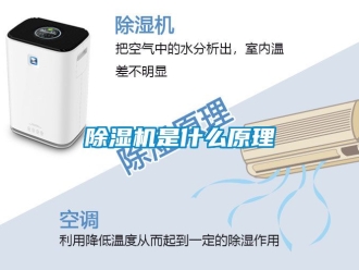 行業新聞除濕機是什么原理