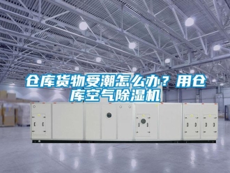 企業(yè)新聞倉庫貨物受潮怎么辦？用倉庫空氣除濕機(jī)