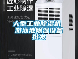 常見問題大型工業(yè)除濕機(jī) 游泳池除濕設(shè)備批發(fā)