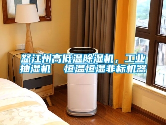 常見問題怒江州高低溫除濕機，工業抽濕機  恒溫恒濕非標機器