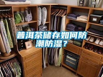 常見問題普洱茶儲存如何防潮防濕？