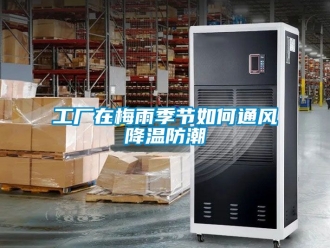 常見問題工廠在梅雨季節如何通風降溫防潮