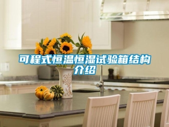 知識百科可程式恒溫恒濕試驗箱結構介紹