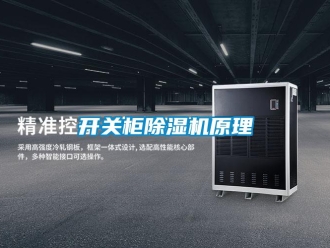 行業(yè)新聞開關(guān)柜除濕機(jī)原理