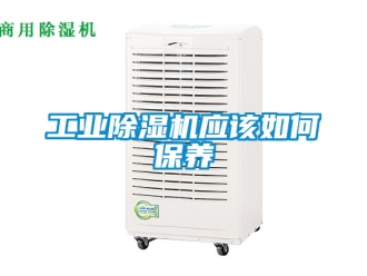 常見問題工業(yè)除濕機應(yīng)該如何保養(yǎng)