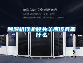 企業新聞除濕機行業領頭羊應該具備什么