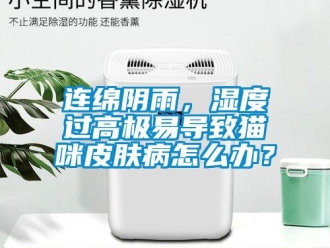 常見問題連綿陰雨，濕度過高極易導致貓咪皮膚病怎么辦？