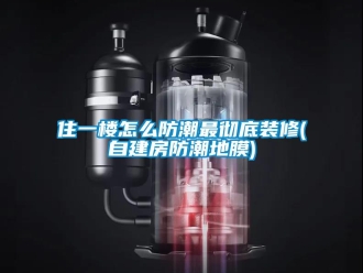 常見(jiàn)問(wèn)題住一樓怎么防潮最徹底裝修(自建房防潮地膜)