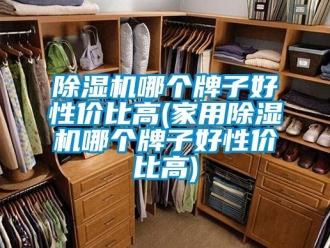 常見問題除濕機(jī)哪個(gè)牌子好性價(jià)比高(家用除濕機(jī)哪個(gè)牌子好性價(jià)比高)