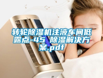 常見問題轉輪除濕機注液車間低露點-45℃除濕解決方案.pdf