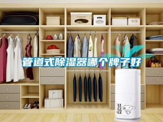 行業新聞管道式除濕器哪個牌子好